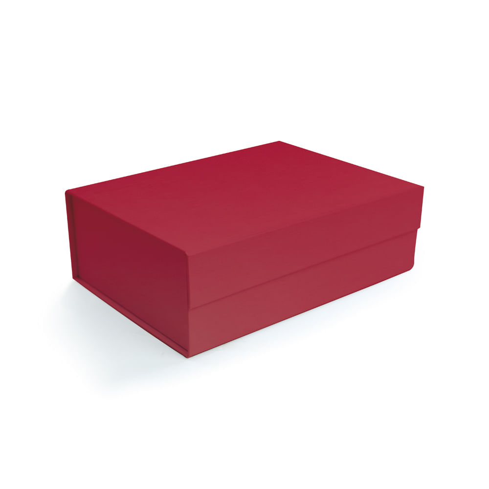 cx-rigida-dobravel-ret-c-ima-verm-p-24-5x17-5x8cm-c-1-un