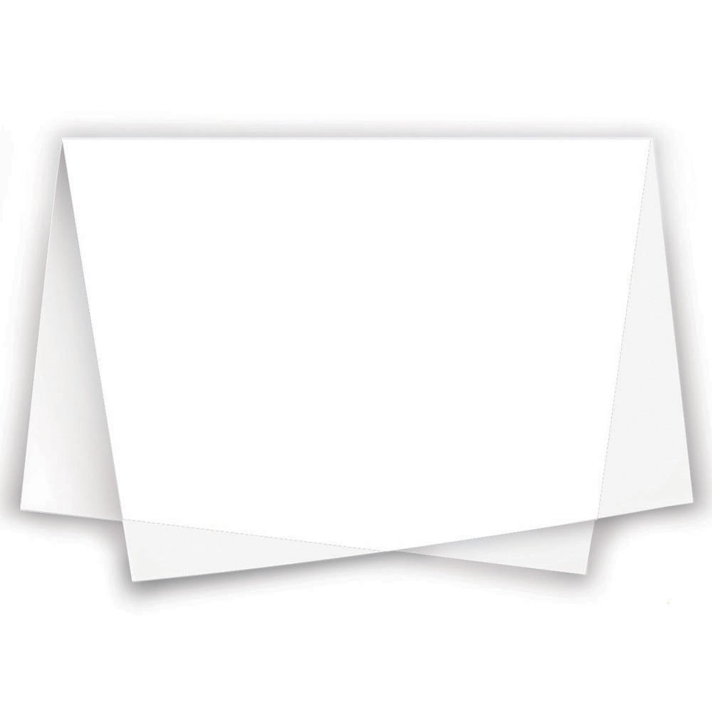PAPEL SEDA BRANCO 49X69 PT C/100 UN