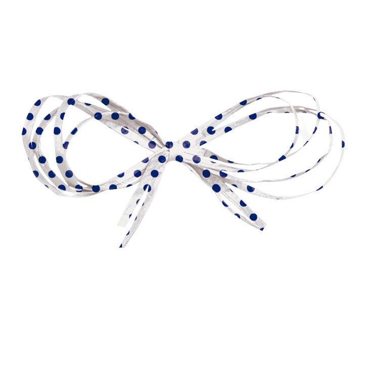 FIO KRAFT FINO POA BRANCO/AZUL 20MMX7,5M C/1 UN