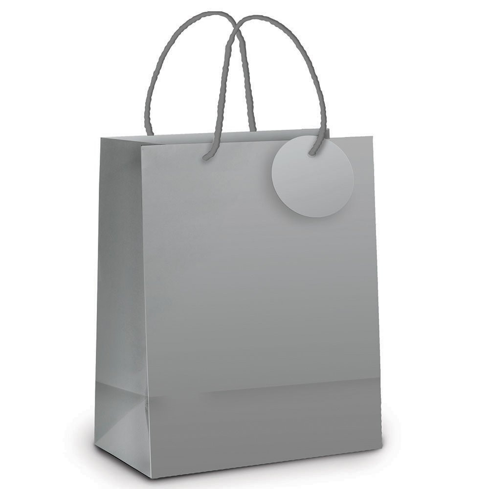SACOLA LAM PRATA METAL FOSCO GARRAFA 35X13X8 C/1 UN