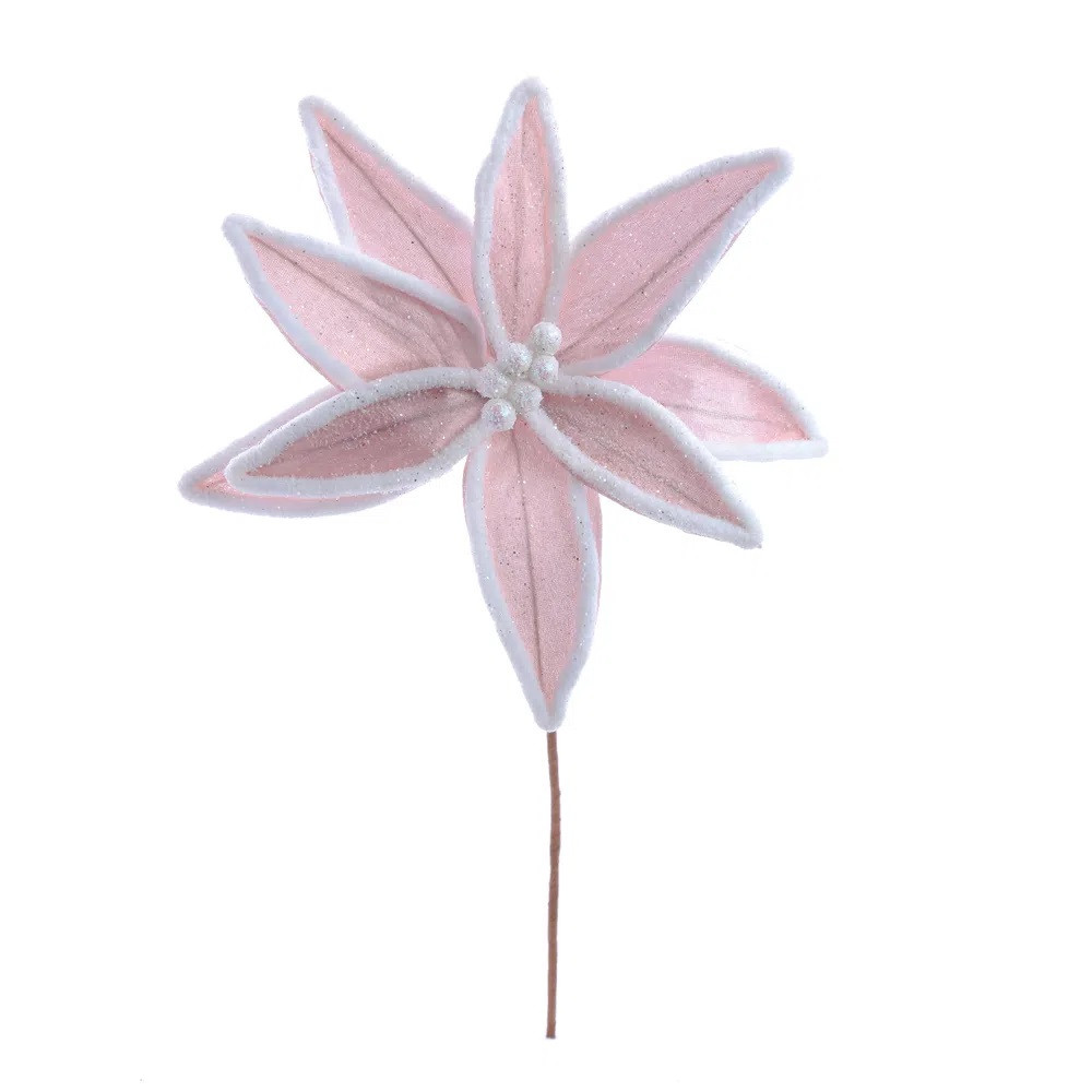 POINSETIA ROC () C/1 UN
