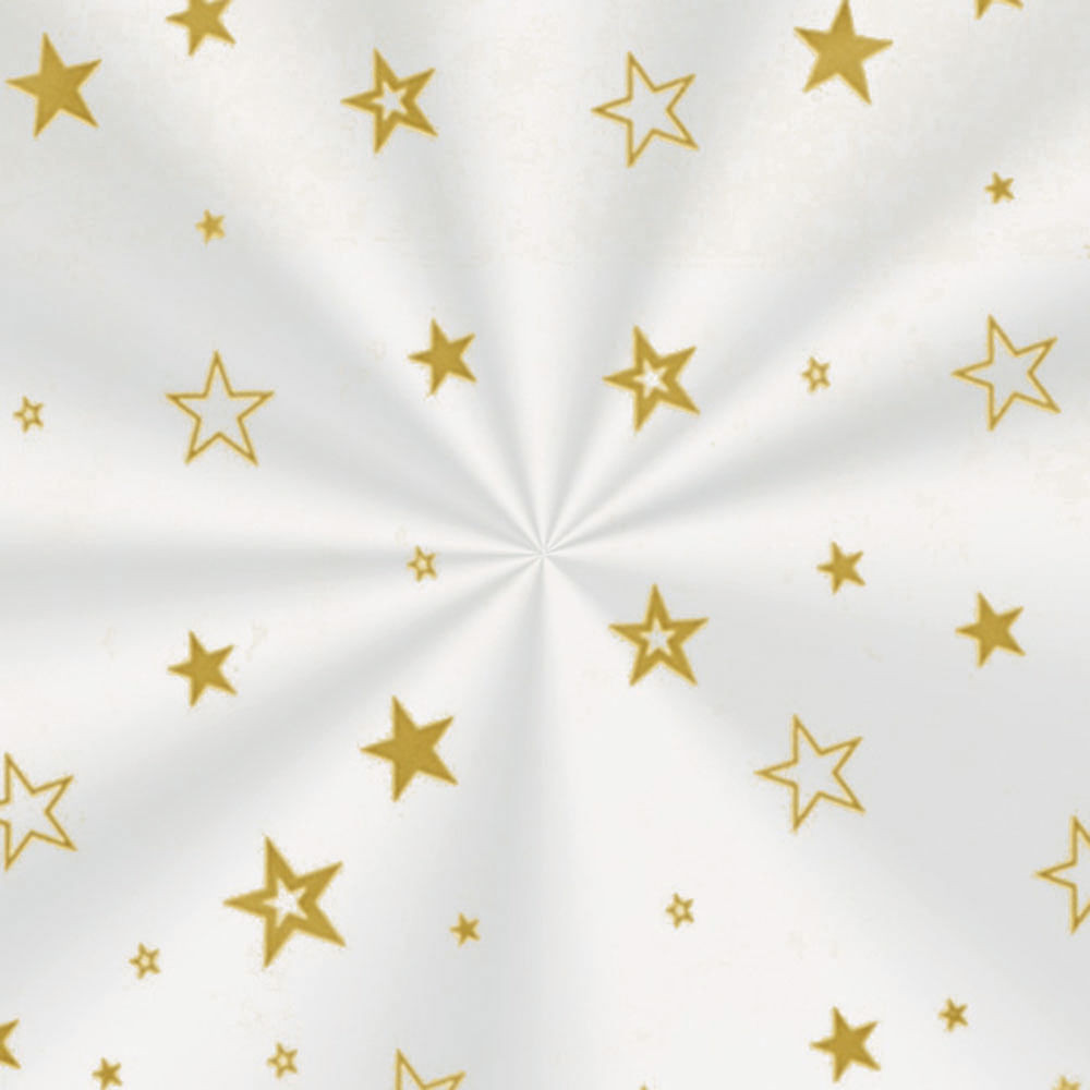 SACO TRANSP 35X54 ESTRELA OURO PT C/50 UN