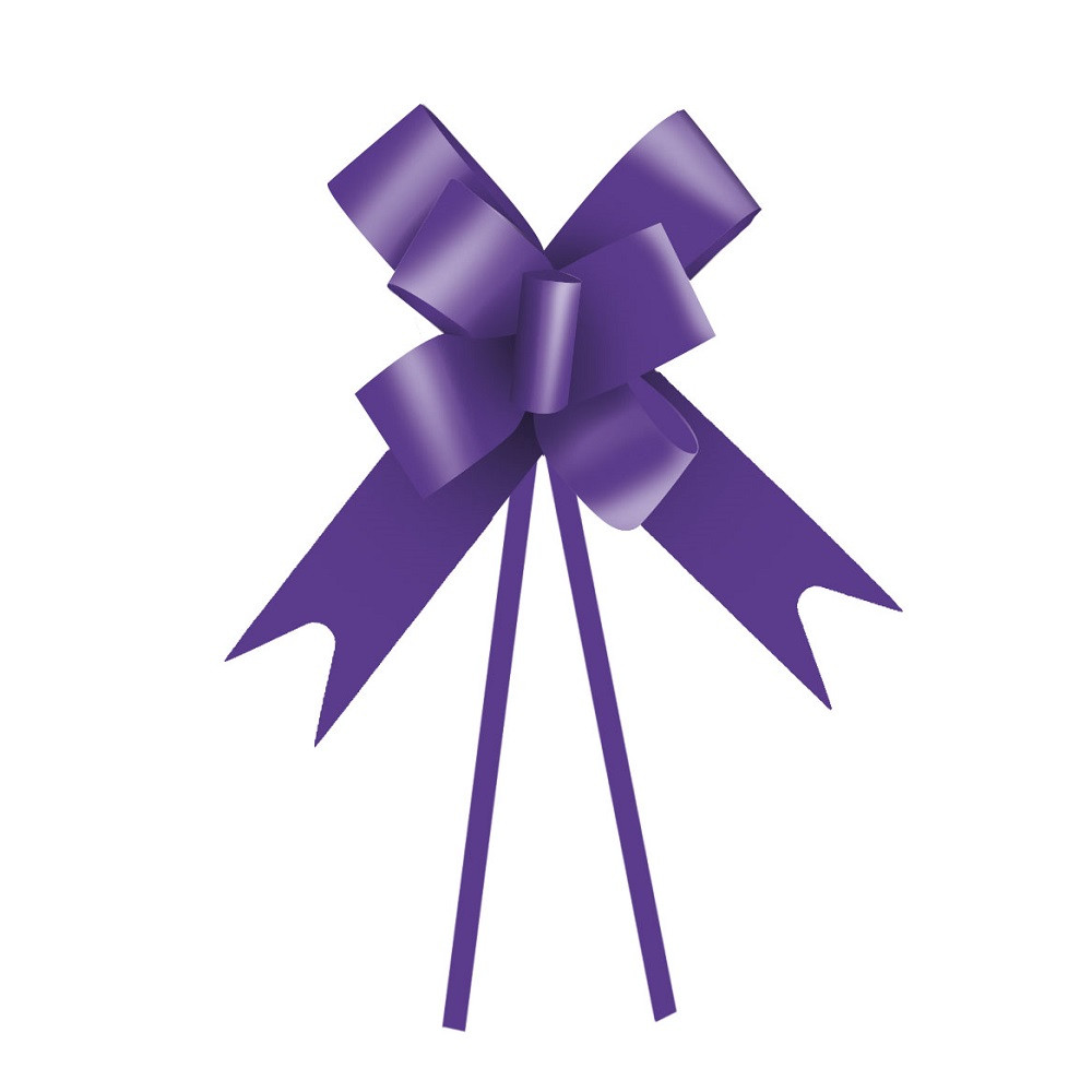 LACO PRONTO/LISO ROXO 23MM PT C/10 UN