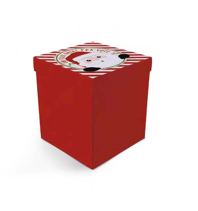 CX PANETONE EXPLOSAO NOELITO G 16,5X16,5X19 500G C/1 UN