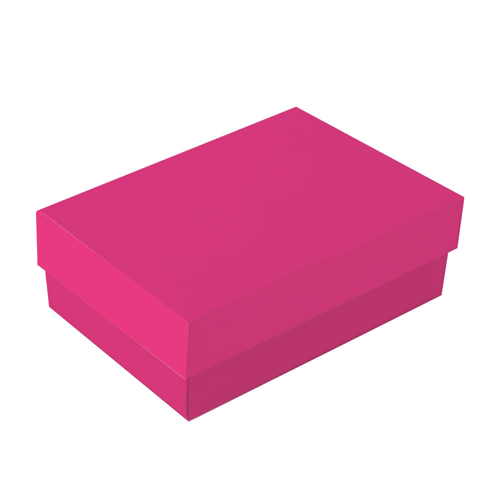 CX RET C/TAMPA PETIT PINK CORE M 19,5X14,5X6,5 C/1 UN