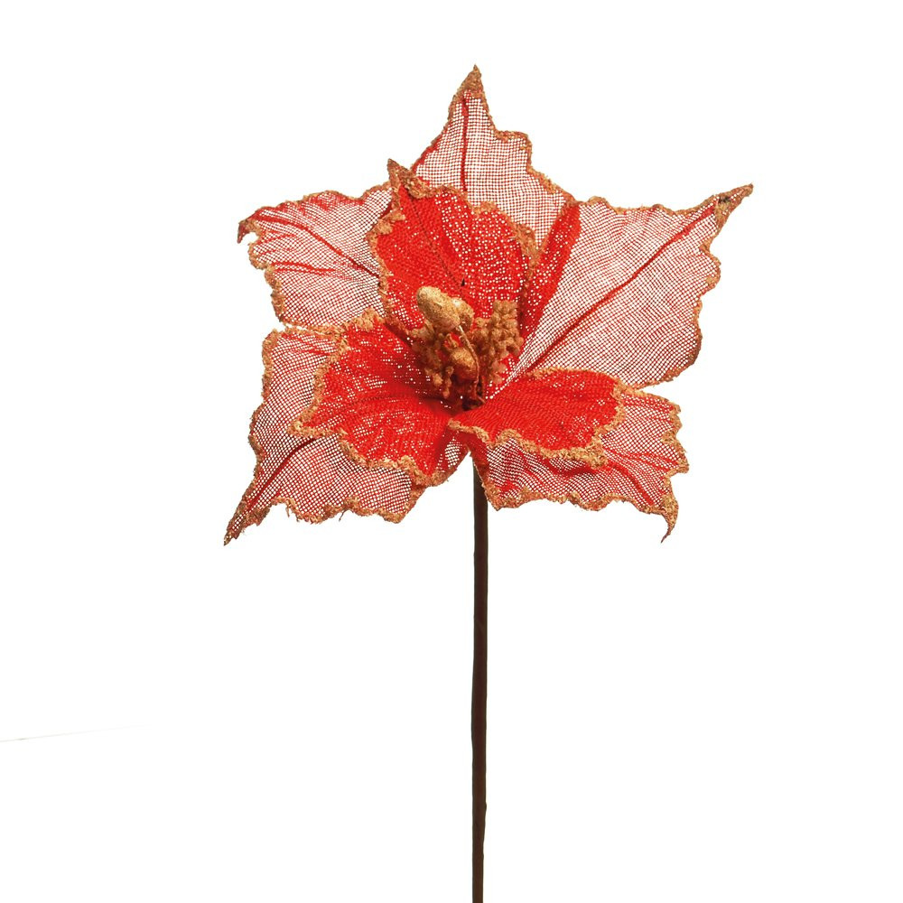 POINSETTIA VRM (FLORES CABO CURTO) C/1 UN