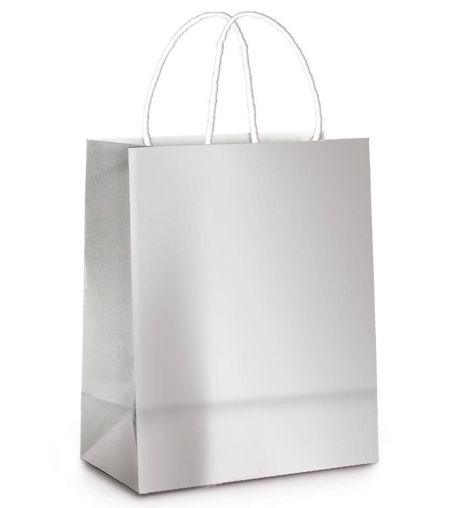 SACOLA LAM PRATA METAL BRILHO P 21.5X15X8 C/1 UN
