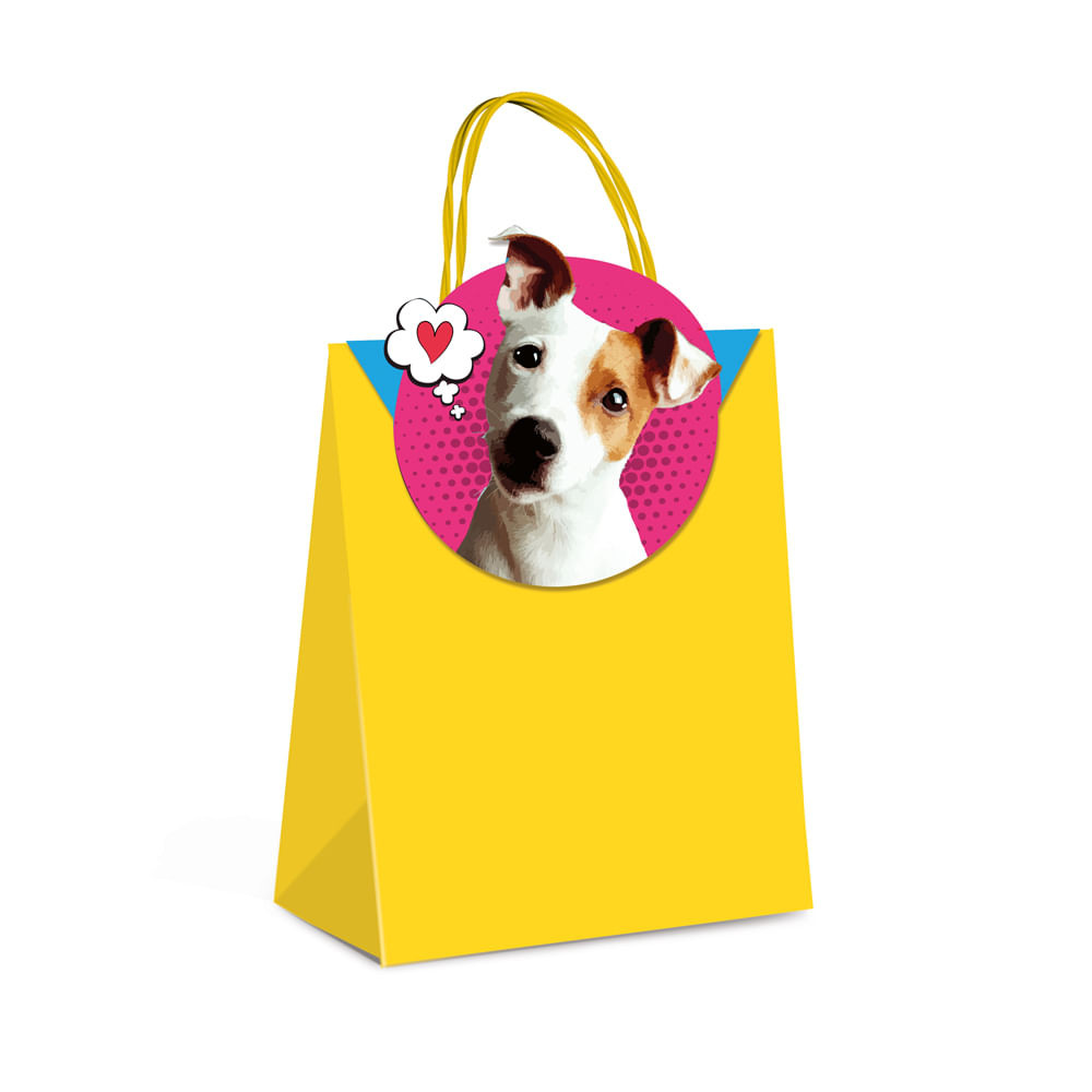 SACOLA PAPEL C/FECHAMENTO PETS P 21,5X15X8 KIT C/1 PC CFSC