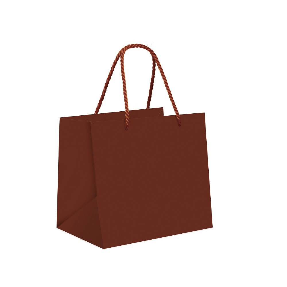 SACOLA PREMIUM LISA MARROM 22X16,5X20 C/1 UN CFSC