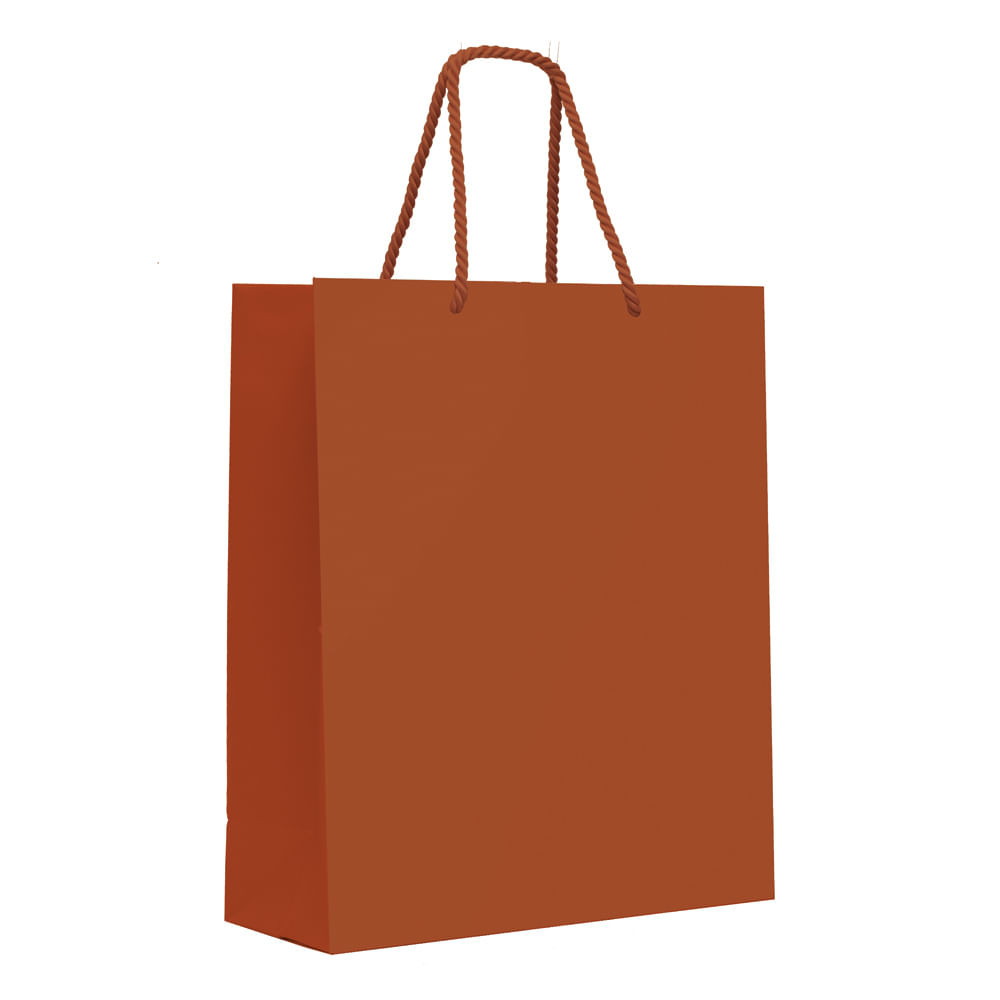 SACOLA PREMIUM CINNAMON P 23X19X10CM C/1 UN CFSC