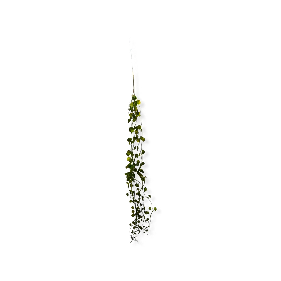 PENDENTE FOLHAS PLASTICA TAM 70CM VDE PONTA COLOR - C/1 UN