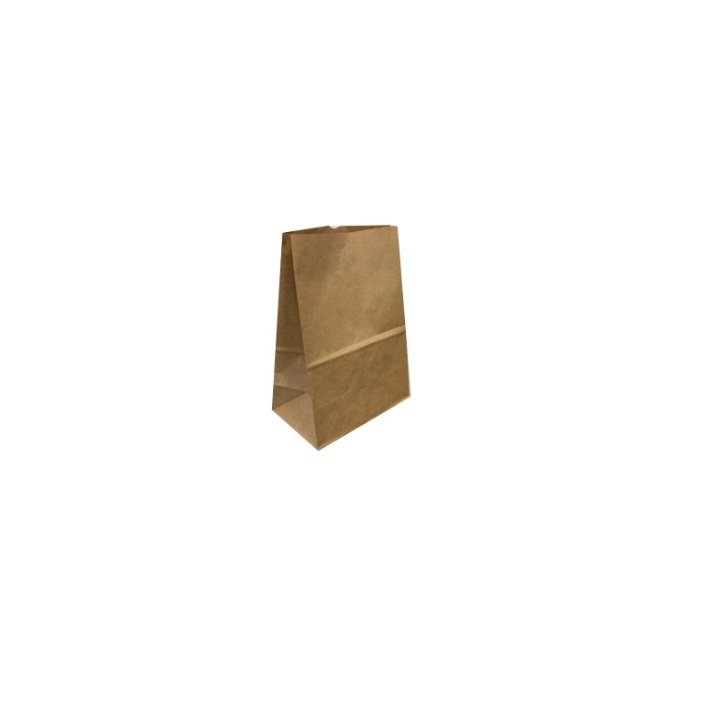 SACO KRAFT DELIVERY 12X21X7CM TAM PP C/1 UN