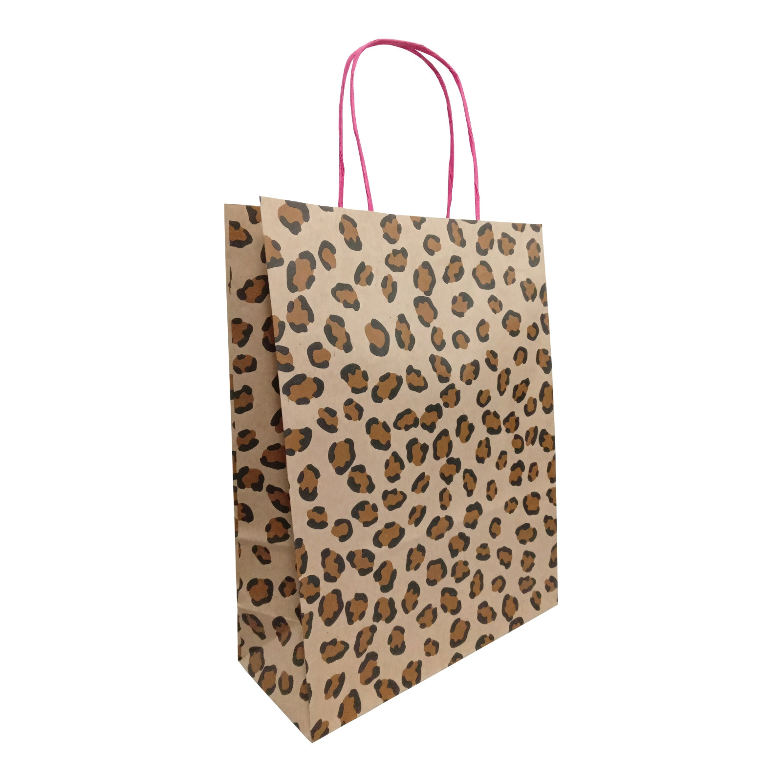 SACOLA ONCA TAM M 24X31X10CM C/1 UN