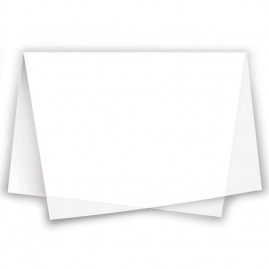 PAPEL SEDA BRANCO 49X69 PT C/100 UN