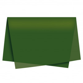 PAPEL SEDA VERDE MUSGO 49X69 PT C/100 UN