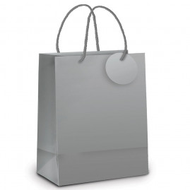 SACOLA LAM PRATA METAL FOSCO GARRAFA 35X13X8 C/1 UN