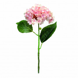HORTENSIA ROS (FLORES PERMANENTES) C/1 UN