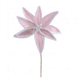 POINSETIA ROC () C/1 UN