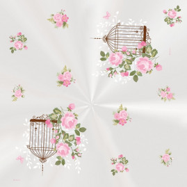 SACO TRANSP 45X59 JARDIM SECRETO PT C/25 UN
