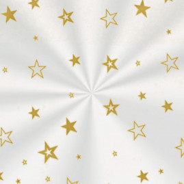 SACO TRANSP 15X29 ESTRELA OURO PT C/50 UN