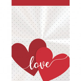 SACO TRANSP 15X22 LOVE REGIST PT C/50 UN