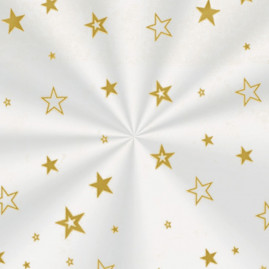 SACO TRANSP 35X54 ESTRELA OURO PT C/50 UN