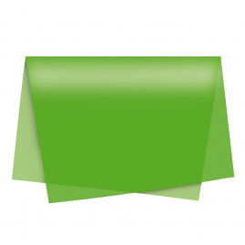 PAPEL SEDA NEON VERDE 49X69 PT C/50 UN