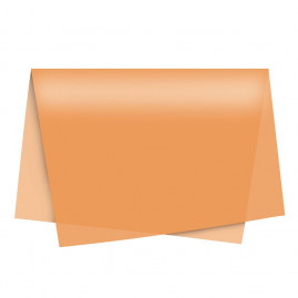 PAPEL SEDA NEON LARANJA 49X69 PT C/50 UN