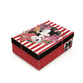 CX RET C/TAMPA DISNEY IN LOVE P 24X18X8 C/1 UN