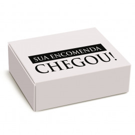 CX P/ENTREGA CHEGOU 34,5X23,5X13,5 C/1 UN