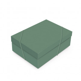 CX RET C/TAMPA NATURAL GREEN G 46X33X14 C/1 UN