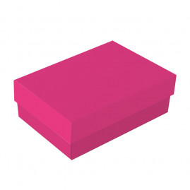 CX RET C/TAMPA PETIT PINK CORE M 19,5X14,5X6,5 C/1 UN