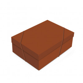 CX RET C/TAMPA CINNAMON G 46X33X14 C/1 UN