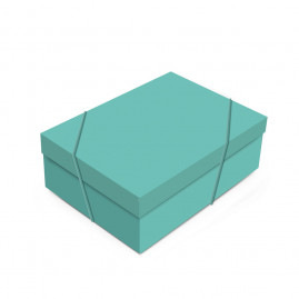 CX RET C/TAMPA AQUA G 46X33X14 C/1 UN