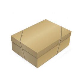 CX RET C/TAMPA GLAM GOLD M 35X25X11 C/1 UN