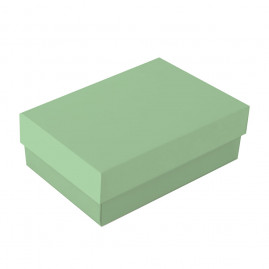 CX RET C/TAMPA PETIT CHA LATTE VERDE M 19,5X14,5X6,5 C/1 UN