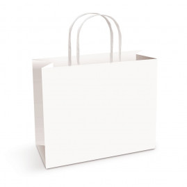 SACOLA PAPEL HORIZONTAL BRANCO M 22X30X9 C/1 UN
