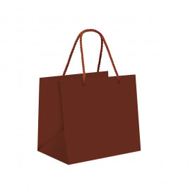 SACOLA PREMIUM LISA MARROM 22X16,5X20 C/1 UN CFSC