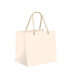 SACOLA PREMIUM LISA MARFIM 22X16,5X20 C/1 UN CFSC