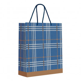 SACOLA PREMIUM LOPES M 26X31X10 C/1 UN CFSC