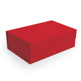 CX RIGIDA DOBRAVEL RET C/IMA VERMELHO GG - 38X28X11CM C/1 UN