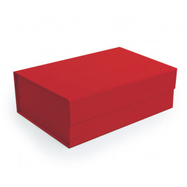 CX RIGIDA DOBRAVEL RET C/IMA VERMELHO GG C/1 UN