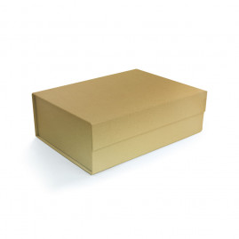 CX RIGIDA DOBRAVEL RET C/IMA DOURADO M C/1 UN