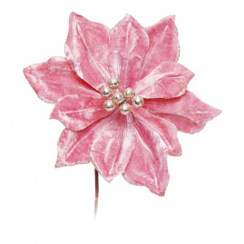 POINSETIA REG/OUR (FLORES CABO CURTO) C/1 UN