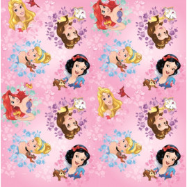 SACO LIC 15X29 PRINCESA PARA SEMPRE REGIST PT C/50 UN