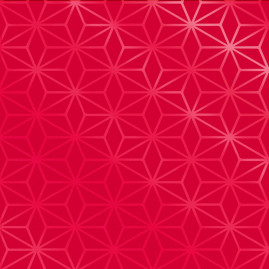 SACO METAL 20X27+3 ABA STAR VERMELHO PT C/50 UN