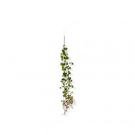 PENDENTE FOLHAS PLASTICA TAM 70CM ENV PONTA COLOR - C/1 UN