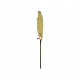 JUNCO UNITARIO 1X1X70CM VD/DOU C/1 UN