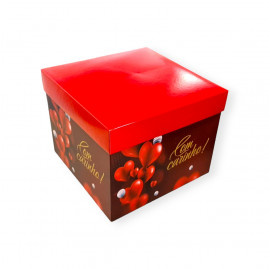 CAIXA CUBO COR D COM CARINHO C/1 UN 22X22X18CM