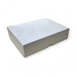 CAIXA PRATA 06 - 20X16X5CM C/1 UN